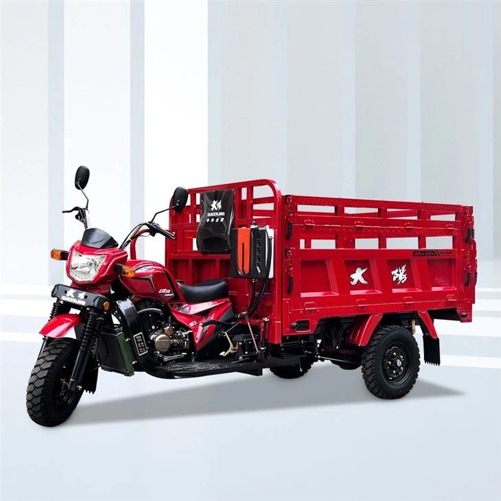250cc 3 Wheels Cargo Tipper
