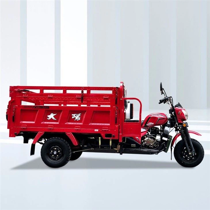 250cc 3 Wheels Cargo Tipper