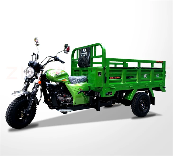 Dayang Popular Selling Good Quality 3 wheel tuk tuk (3)