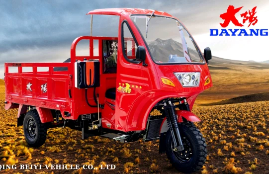 DY-200ZH-5 Dayang Brand Three Wheeled Motorcycle