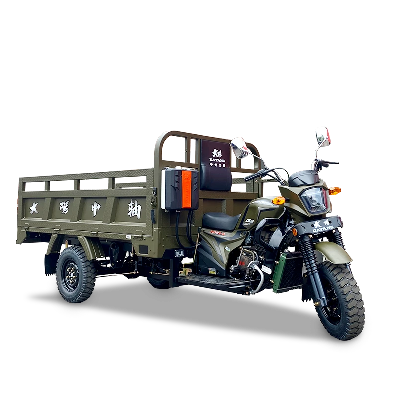 Hot Style Three-Wheels Motorcycle Cargo Motor